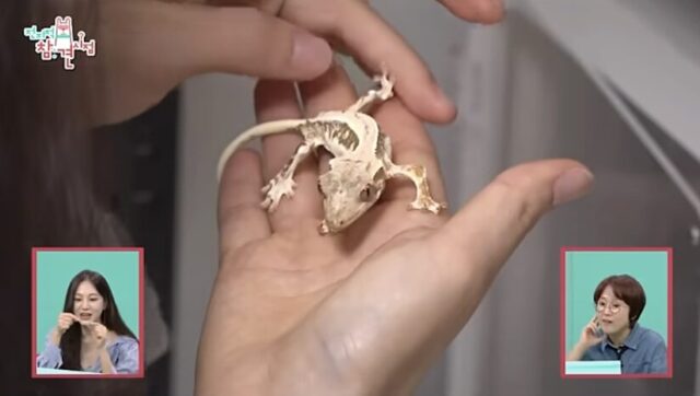 Screenshot 2025-09-14 at 6.00.43 PM